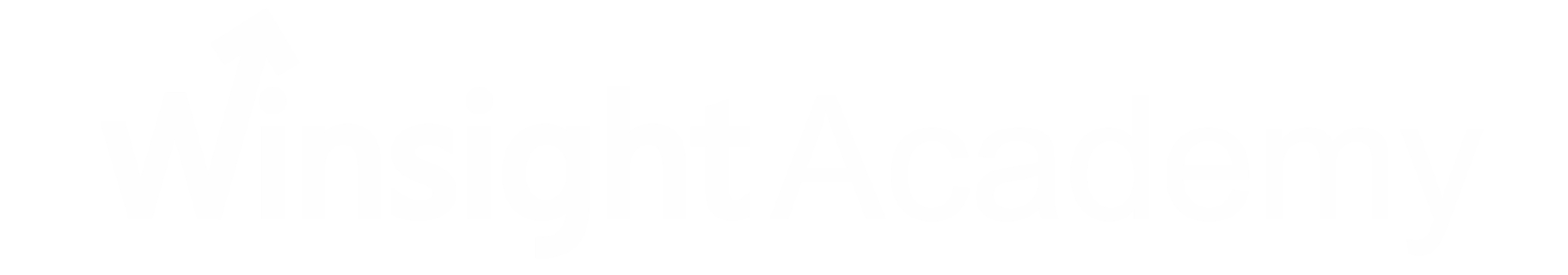 Winsight Academy